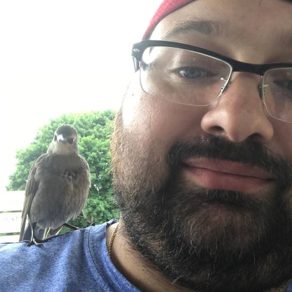 Meet your Posher, Nate - Picture 1 of 1